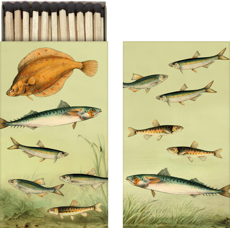 matches fish