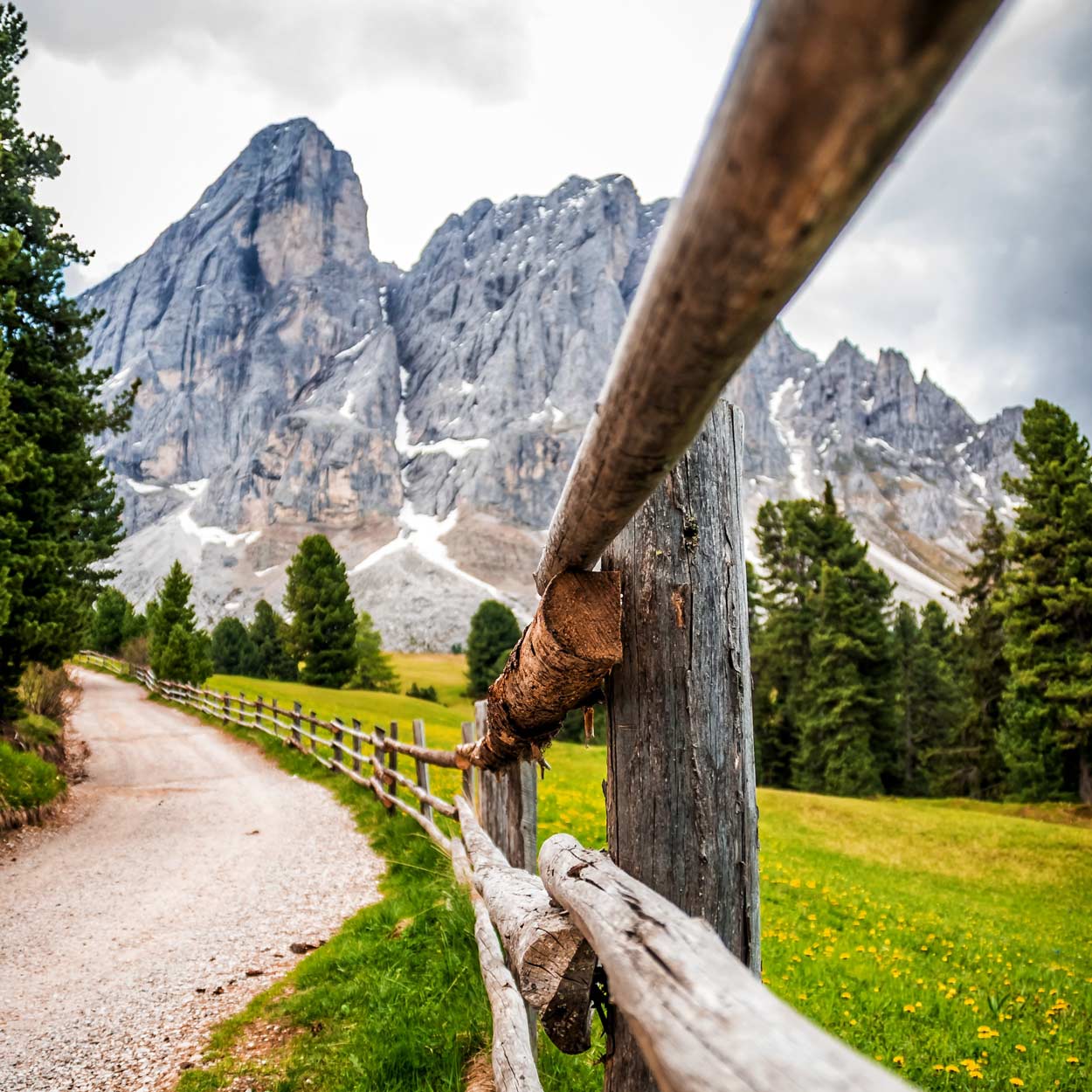 Ein Sommer voller Abenteuer